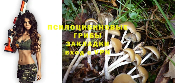 МДПВ Ельня