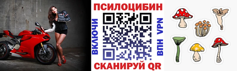 KRAKEN ONION наркота Тамбов Галлюциногенные грибы GOLDEN TEACHER