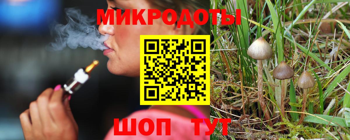 Псилоцибиновые грибы MAGIC MUSHROOMS Тамбов