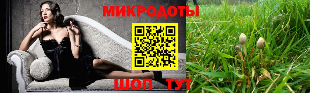 Тамбов  Псилоцибиновые грибы Cubensis  Вход с VPN  купить наркоту  Галлюциногенные грибы ЛСД 